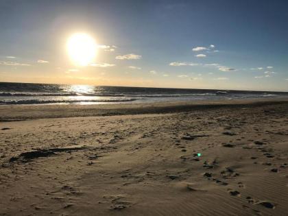 Carolina Breeze - image 15