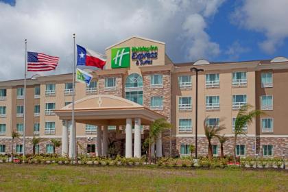 Holiday Inn Express Houston Space Center Clear Lake an IHG Hotel Texas