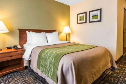Comfort Inn Weirton - image 13