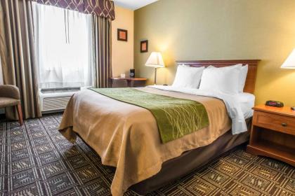 Comfort Inn Weirton - image 15