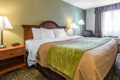 Comfort Inn Weirton - image 7