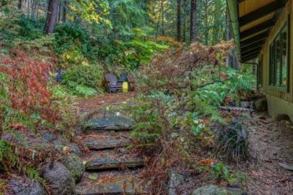 Foxglove Falls - image 2
