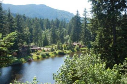 Mount Hood Village Zoe Tiny House 9 - image 3
