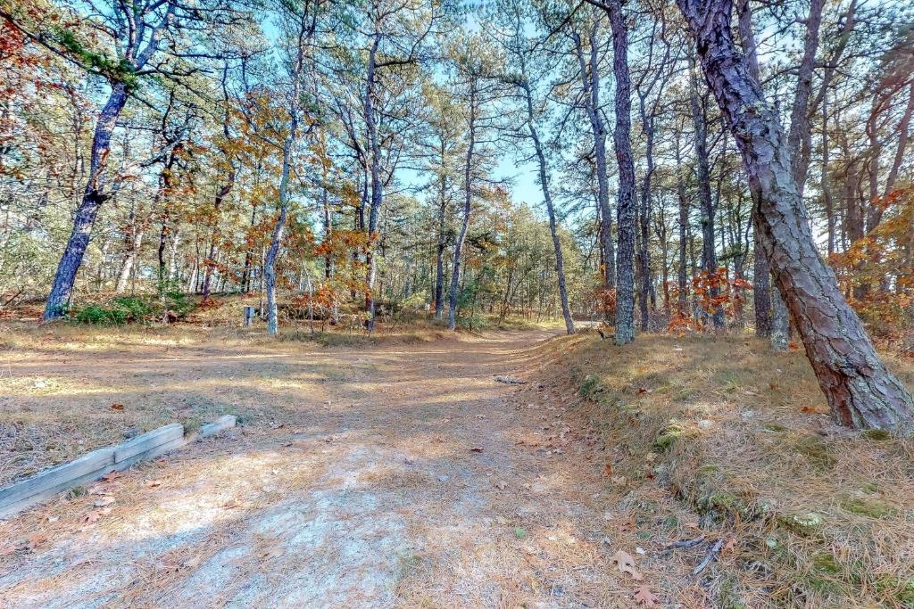 Wellfleet Woods - image 5