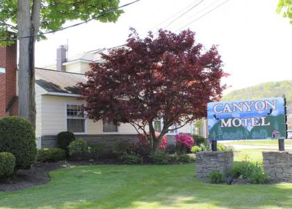 Canyon Motel - image 13