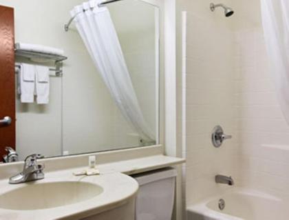 Microtel Inn & Suites by Wyndham Wellton - image 8