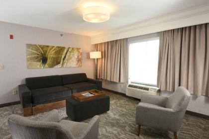 SpringHill Suites Des Moines West - image 13