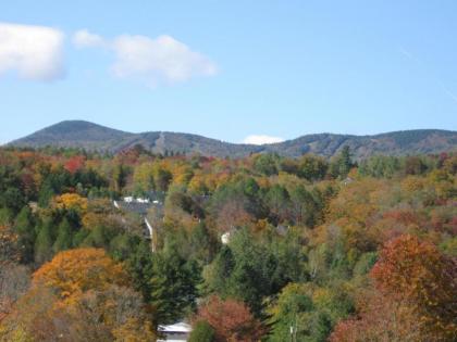 Deerhill Inn - image 13