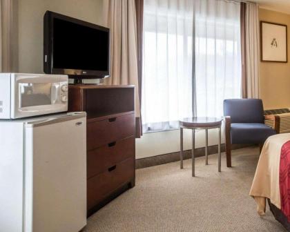 Econo Lodge Lakes Region - image 2