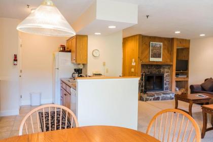 Vantage Point Villas at Stratton Mountain Resort - image 10