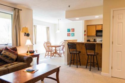 Vantage Point Villas at Stratton Mountain Resort - image 11