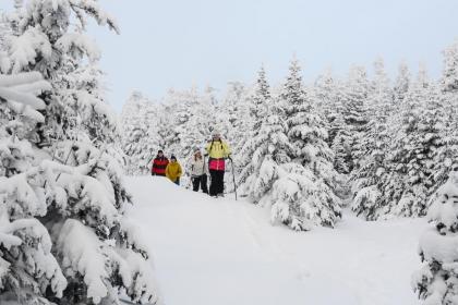 Vantage Point Villas at Stratton Mountain Resort - image 15