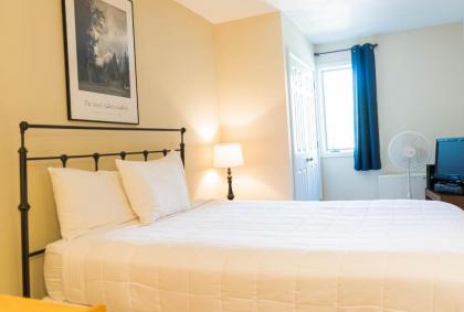 Vantage Point Villas at Stratton Mountain Resort - image 6