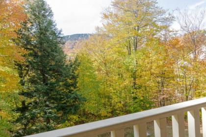 Vantage Point Villas at Stratton Mountain Resort - image 8