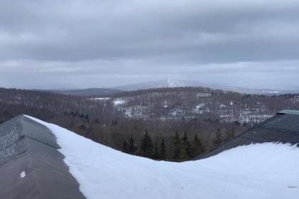 Stratton Landmark 409 - image 3