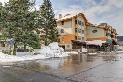 Stratton Landmark 409 - image 4
