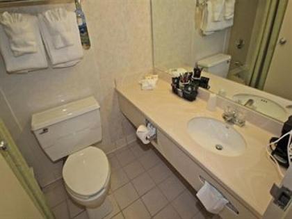 Fireside Inn And Suites - image 9