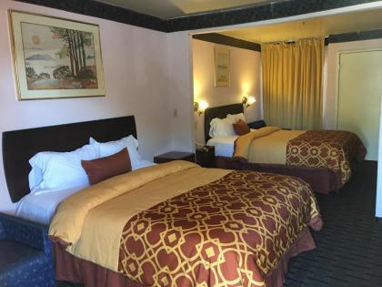 Executive Suites Inn - image 4