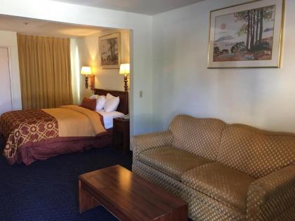 Executive Suites Inn - image 5