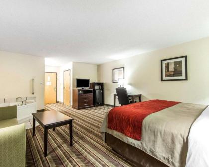 Quality Inn - image 11