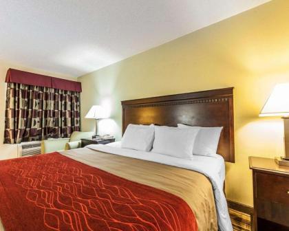 Quality Inn - image 6