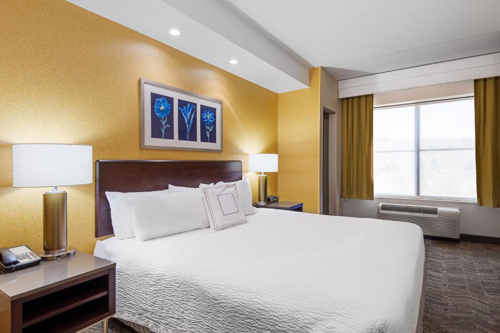 SpringHill Suites by Marriott Wheeling Triadelphia Area - image 4