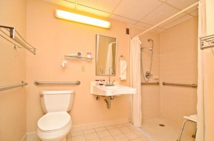 Pocono Resort & Conference Center - Pocono Mountains - image 17