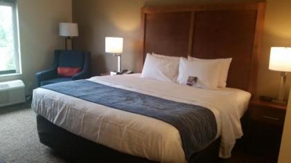 Comfort Inn White House - image 13