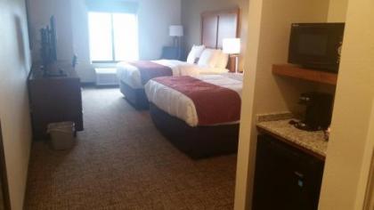Comfort Inn White House - image 9
