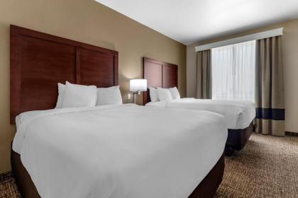 Comfort Inn & Suites White Settlement-Fort Worth West TX - image 10