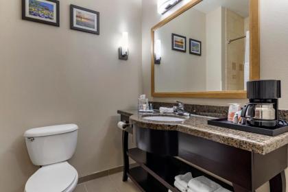 Comfort Inn & Suites White Settlement-Fort Worth West TX - image 12