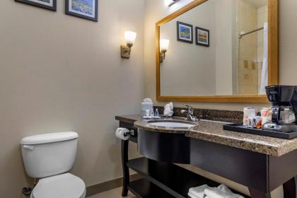 Comfort Inn & Suites White Settlement-Fort Worth West TX - image 8