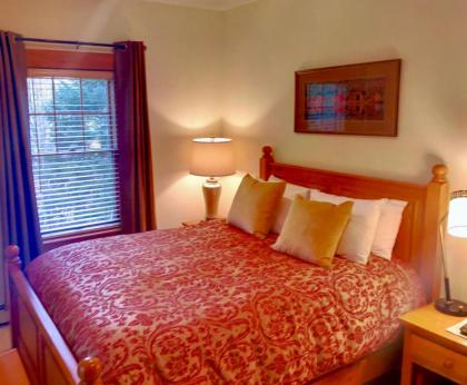 E5 Beautiful Bretton Woods slopeside home amazing views of Mount Washington! Hot Tub AC - image 10