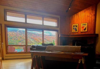 W5 AIR CONDITIONED Mount Washington Place townhouse with fireplace air hockey free and fast wifi! - image 2