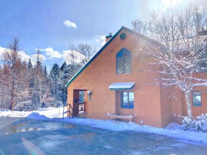W8 Mount Washington Place Townhome great slope views fireplace large deck yard and ping pong! - image 18