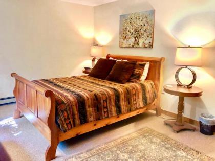 O1 Slopeside Bretton Woods cottage with AC large patio and private yard! Walk to slopes! - image 12