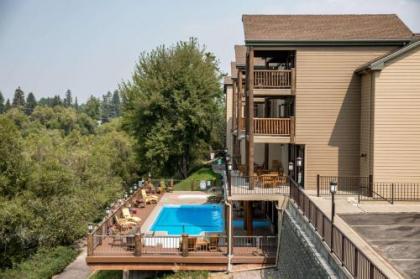 the Pine Lodge on Whitefish River Ascend Hotel Collection Montana