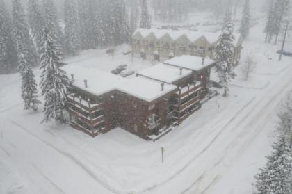 Whitefish Mountain Condos - image 4