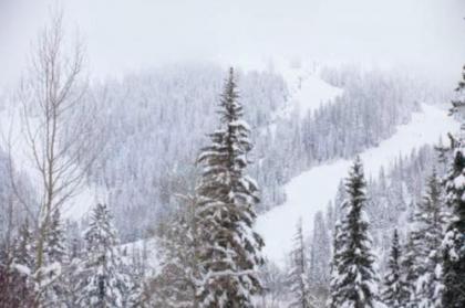 Gray Wolf Condos at Whitefish - image 2