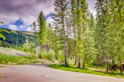 Gray Wolf Condos at Whitefish - image 3