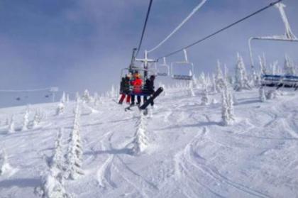 Gray Wolf Condos at Whitefish - image 4