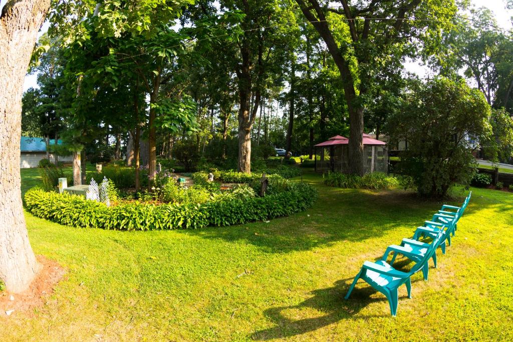 Oak Park Inn - image 4