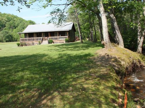 Climbing Bear Creekside Cabin - main image