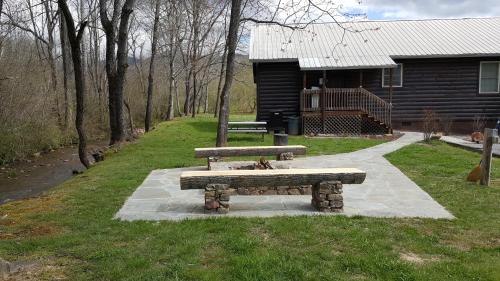 Climbing Bear Creekside Cabin - image 2