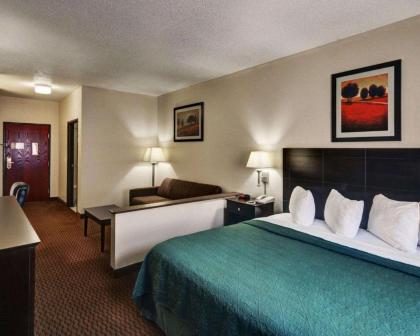 Quality Inn & Suites Wichita Falls I-44 - image 9