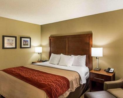 Comfort Inn East Wichita - image 4