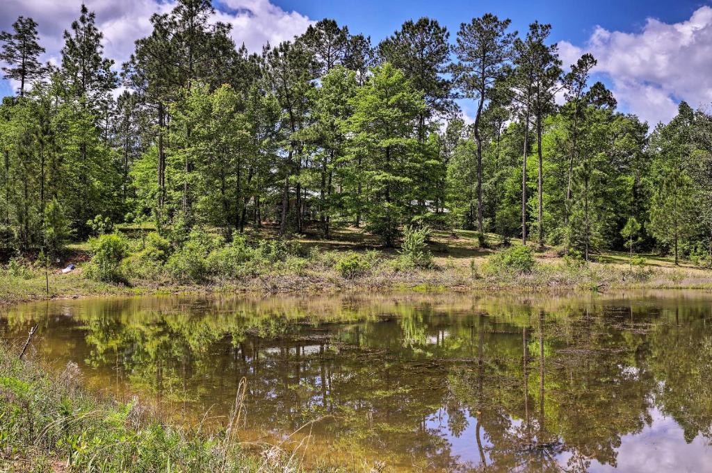 Secluded Cabin with Pond - 37 Mi to Gulf Coast! - image 7
