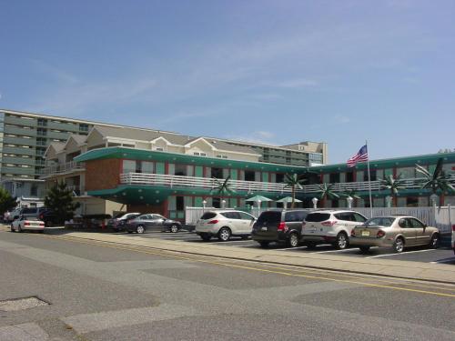 Dolphin Inn - image 5