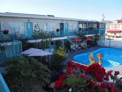 Suitcase Motel & Travel - main image