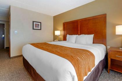 Comfort Inn & Suites Wilkes Barre - Arena - image 8
